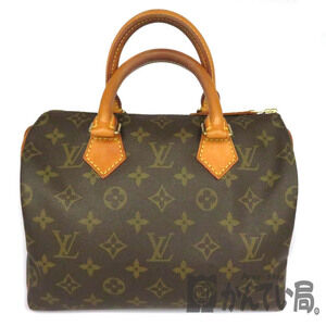 LOUIS VUITTON Speedy Monogram Handbag